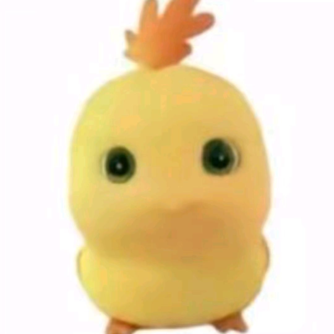 吃吃.