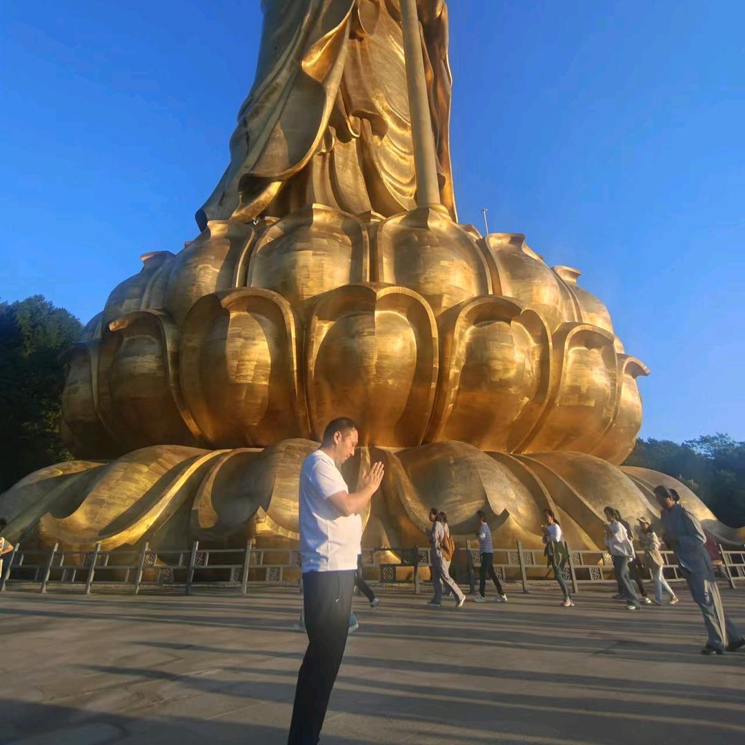豪芹万张
