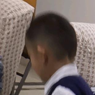 郑锋8948