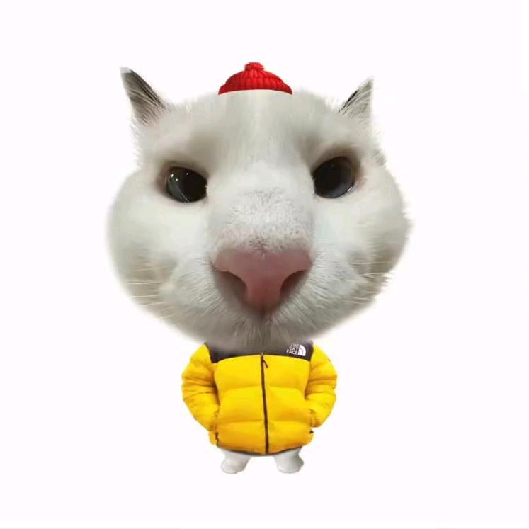 蛋总