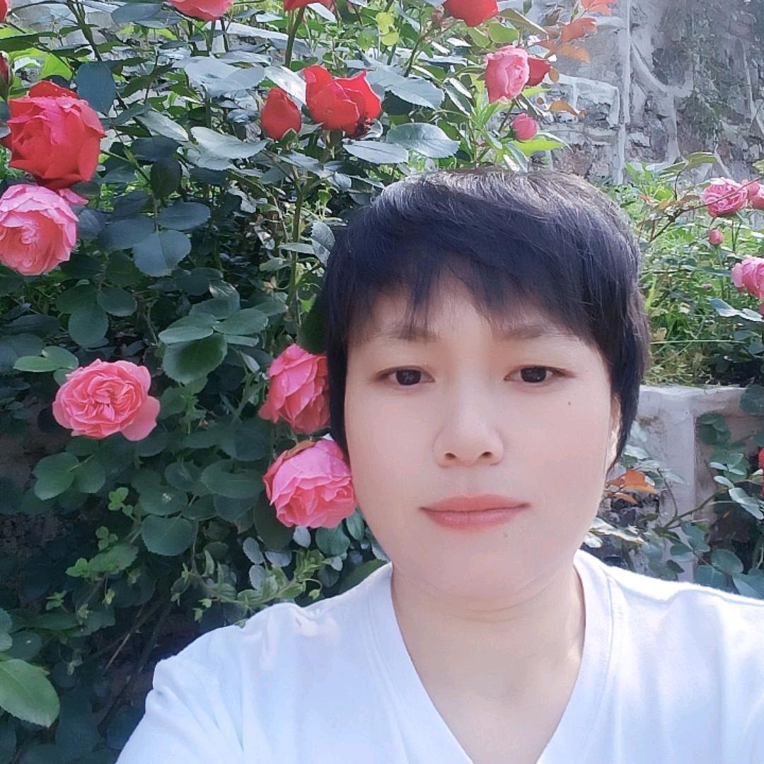 琼智慧心