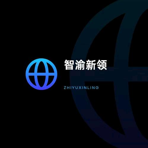 智渝新领互联网商务