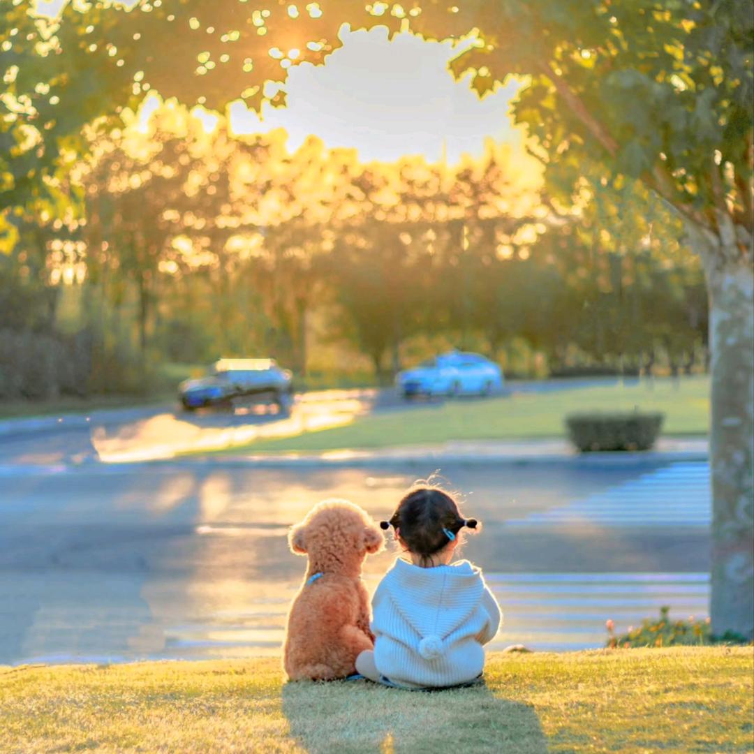 小鱼海棠工厂
