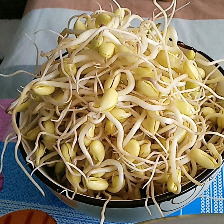 yy.奕境