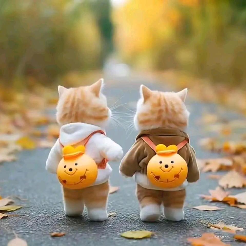 美美哒