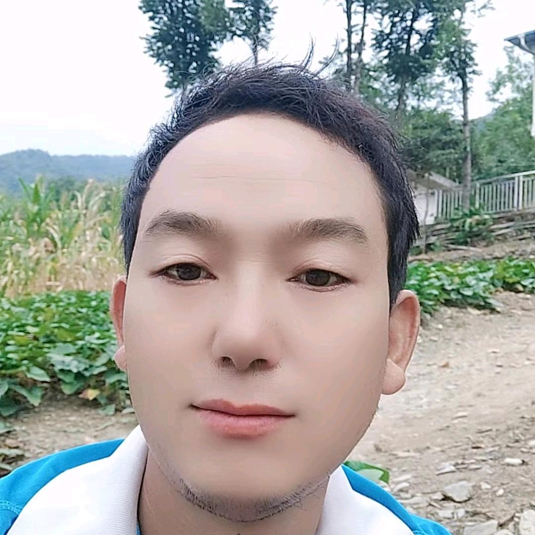 年华似景