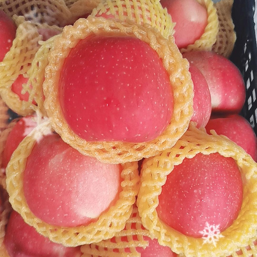 龙