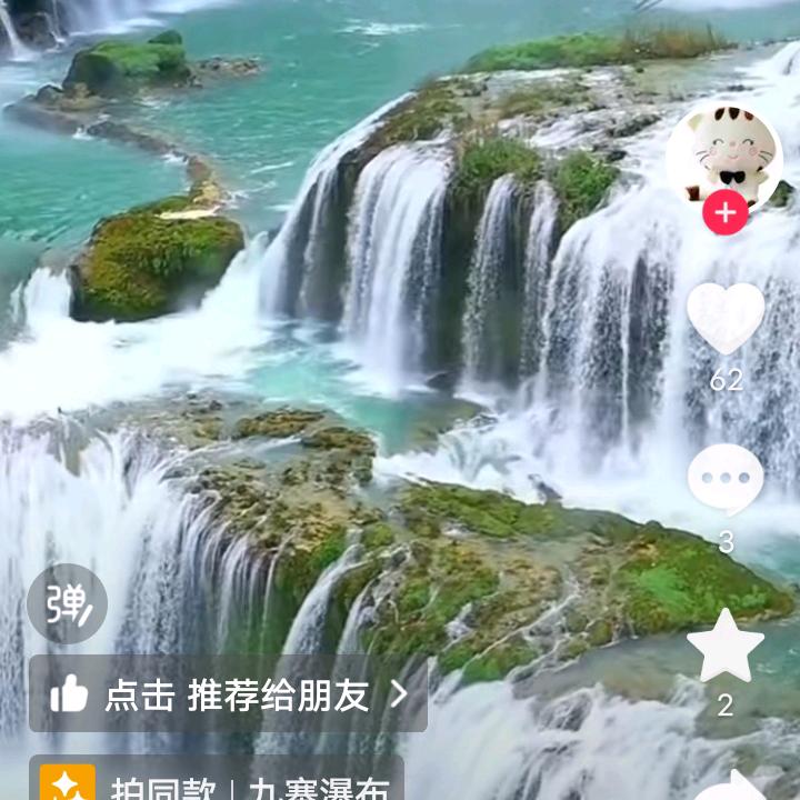 秦举誉