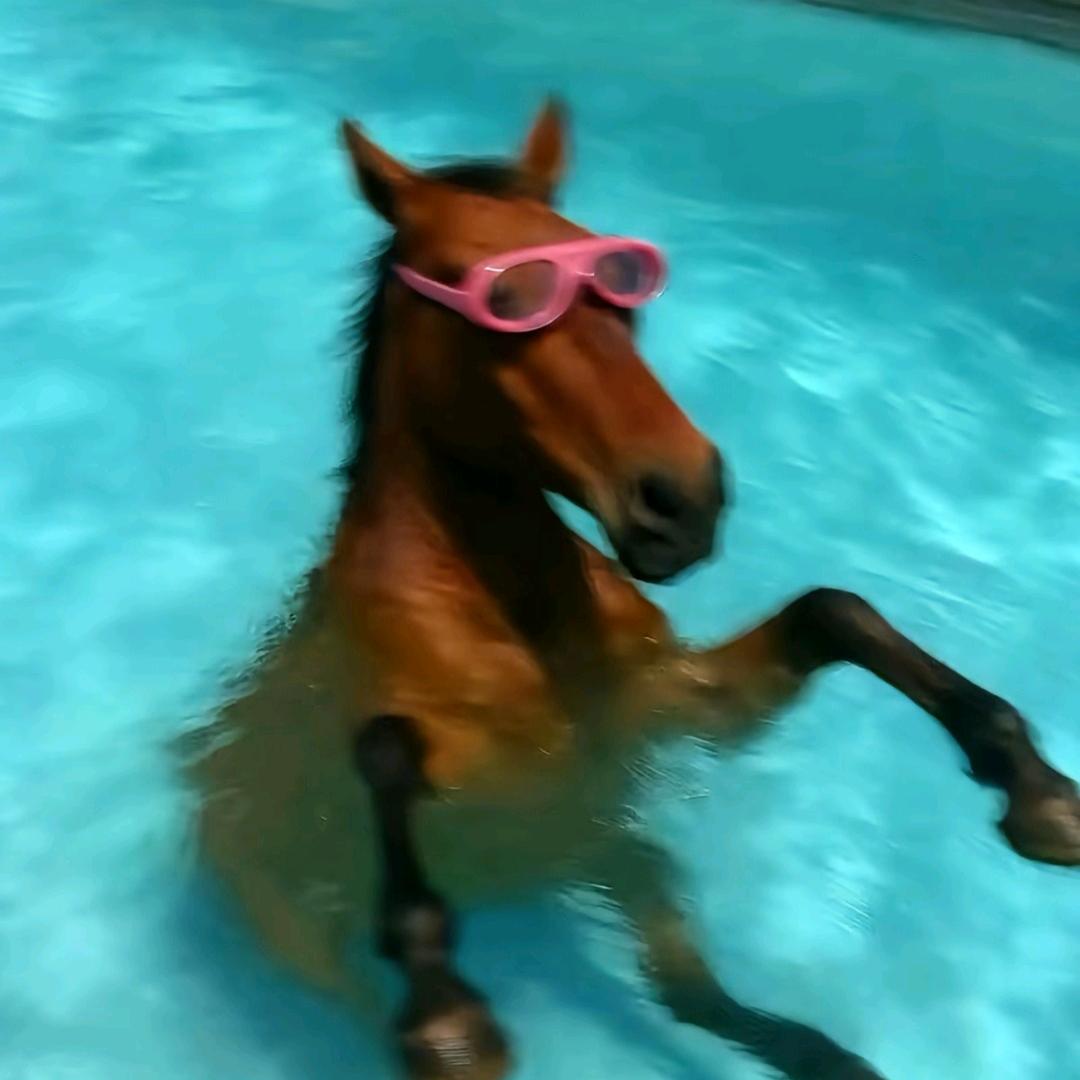 慕江晴·笛声远