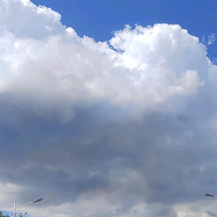 🦋ꦿ໊余生᭄🕊随心᭄ꦿᩚ٭