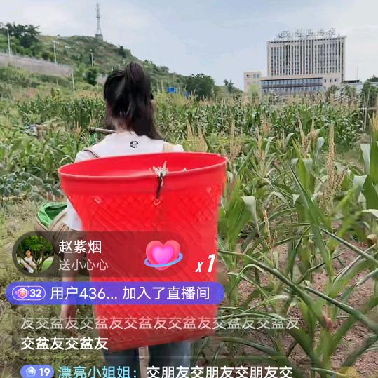，炀