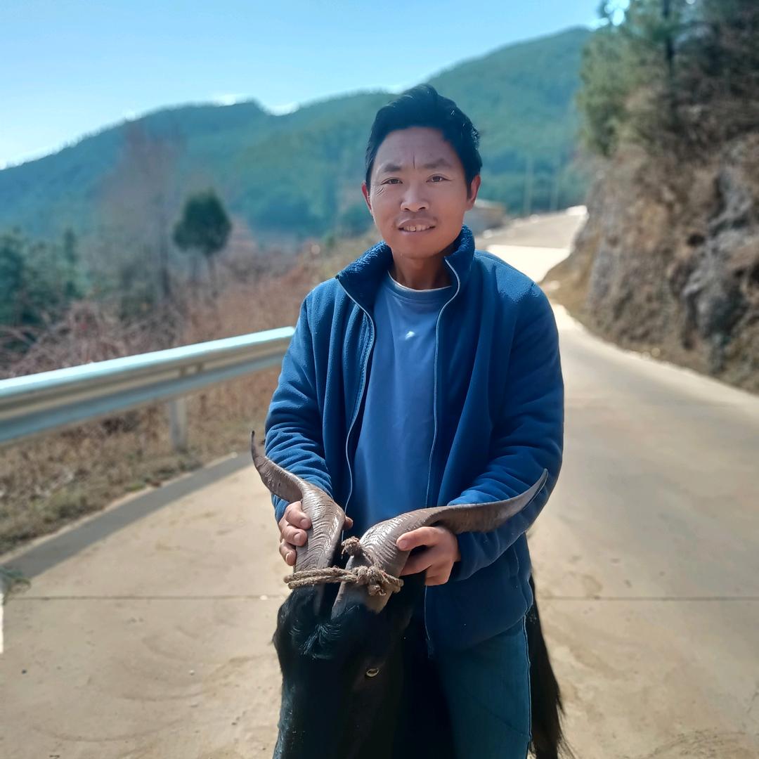 民馨山羊汤锅/羊肉串