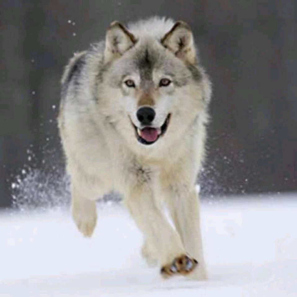 青州助农（好物在橱窗）