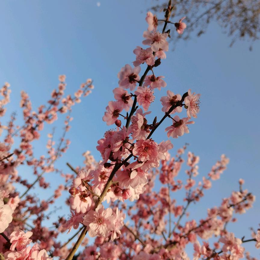 知足常乐