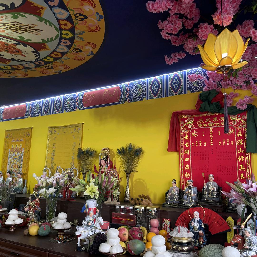 东北🦊小香童（2）