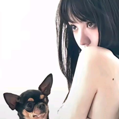 非悸车载好物分享