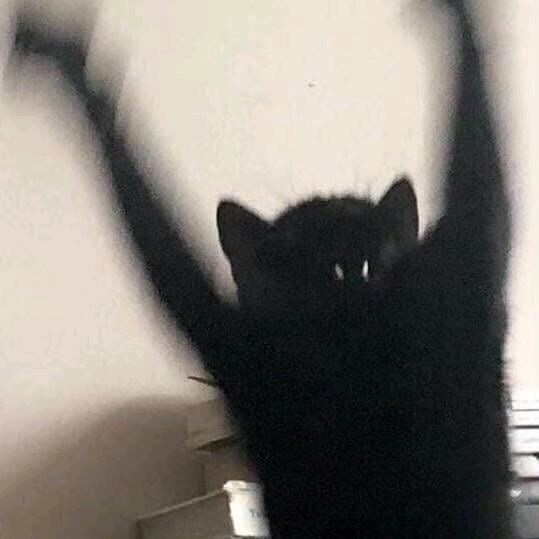 是锦良啊