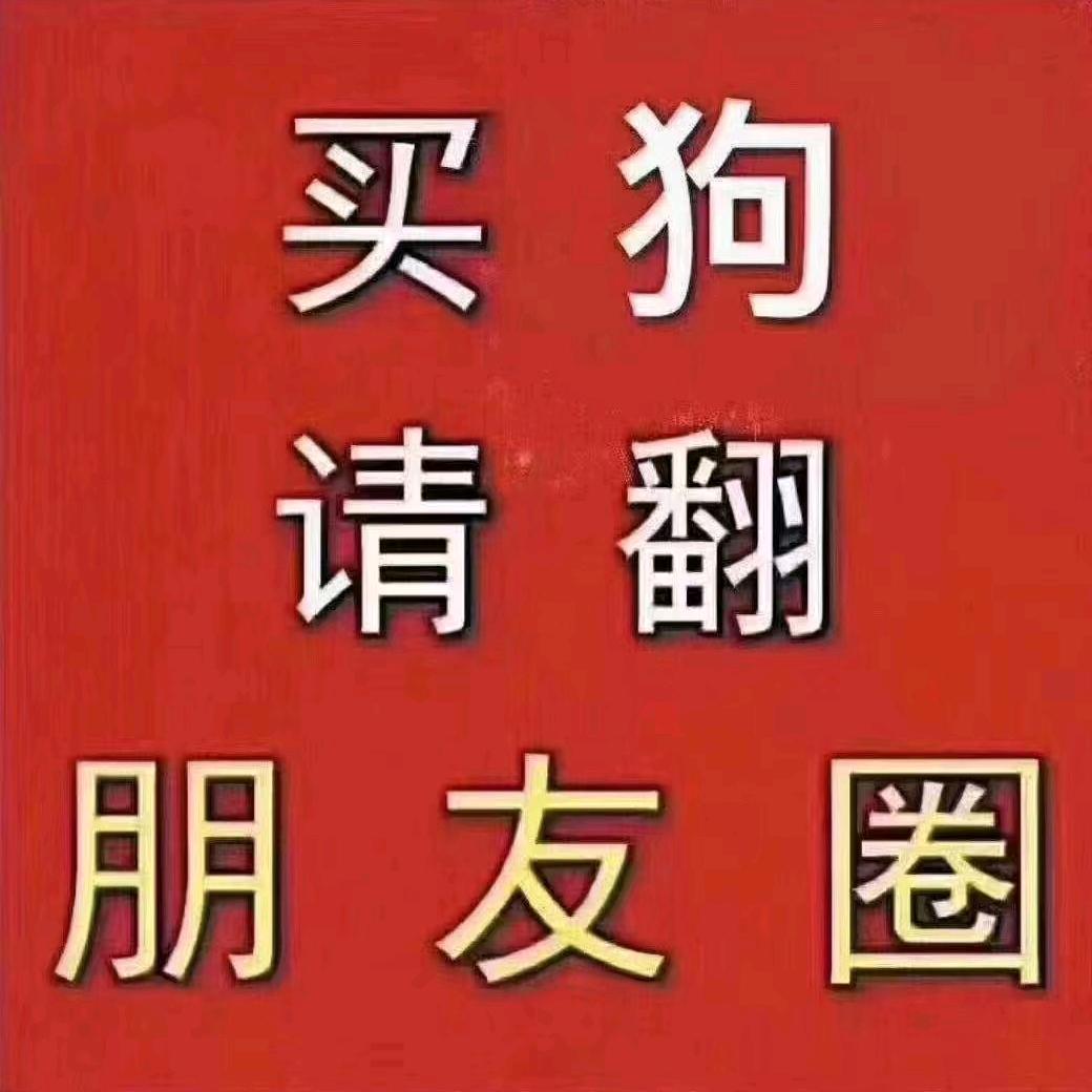 赵妹儿.手工网编织