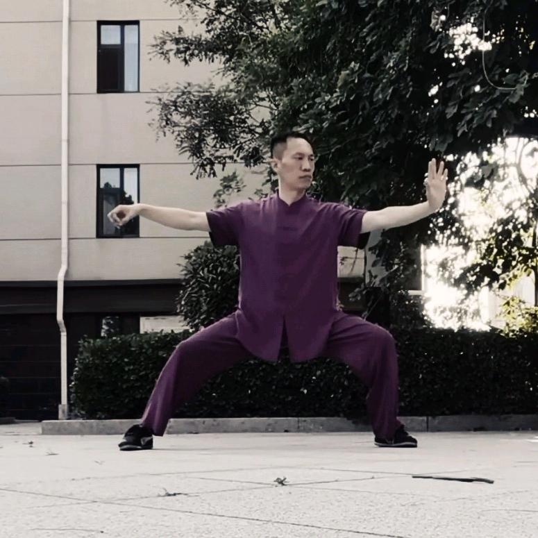 东武太极孙家宝