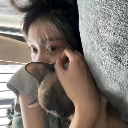 祈我此生如春