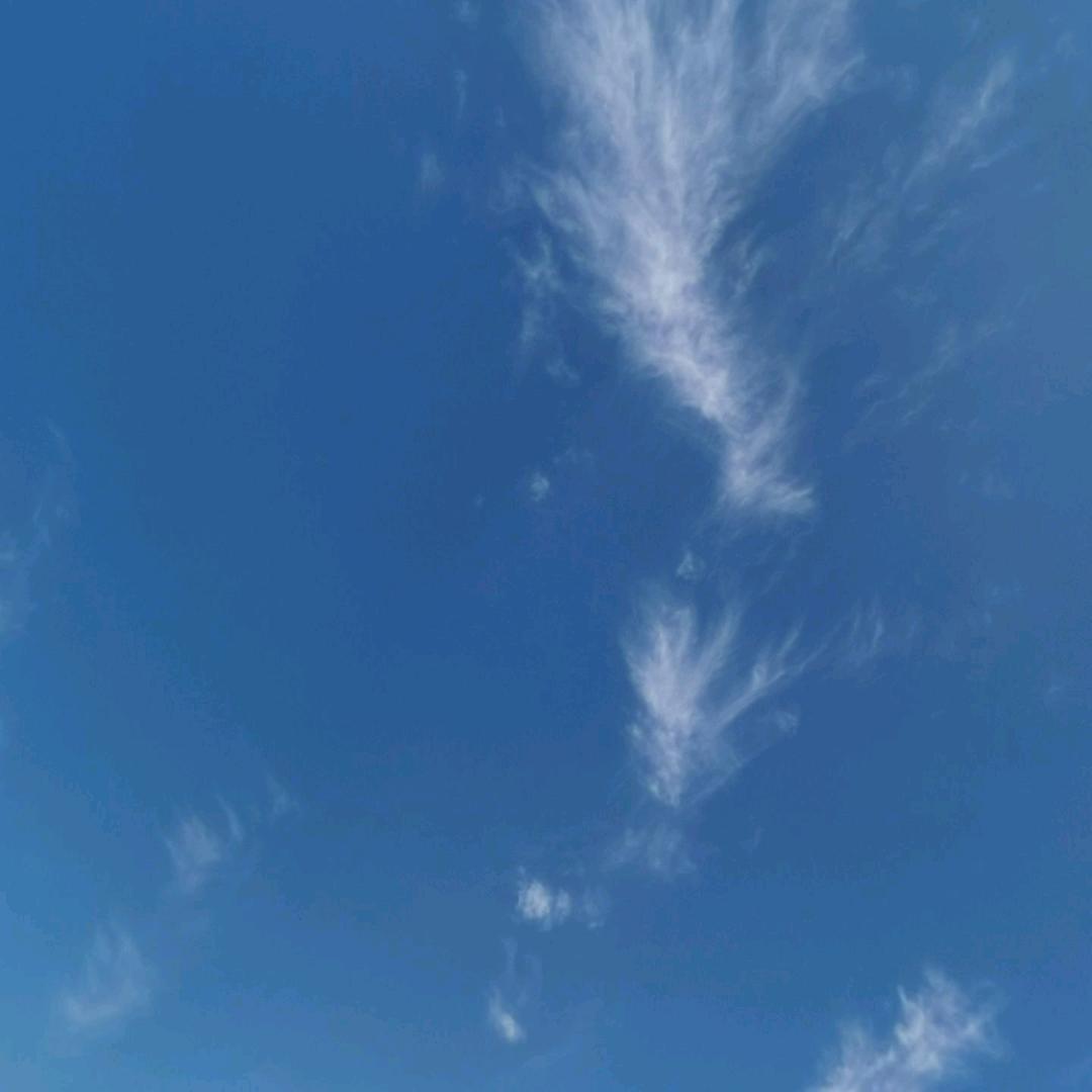 魏青霞