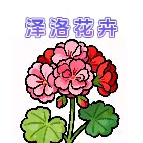泽洛花卉