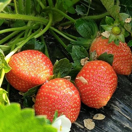 风雨过后有彩虹