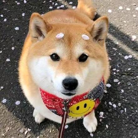 之