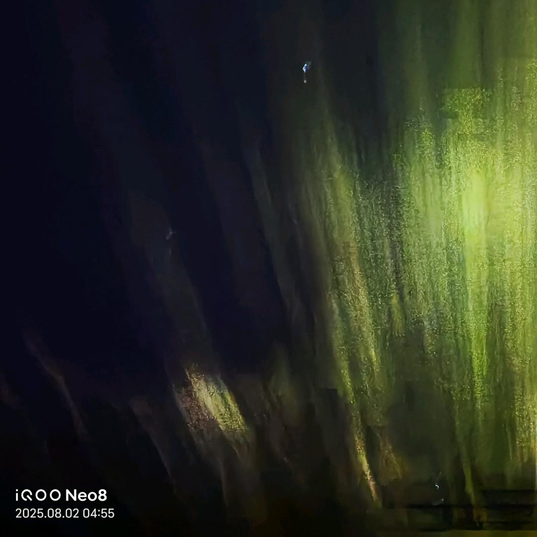 你也不必把我当作家，把我当成一棵树吧