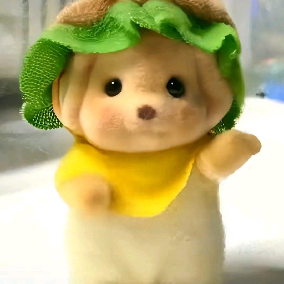 唧唧复咕咕