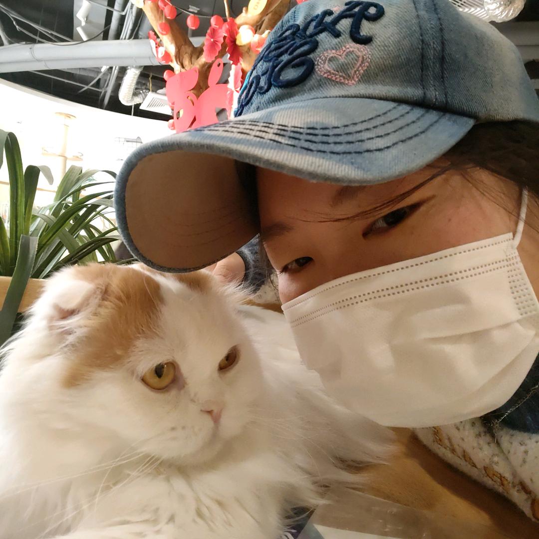 多米姐姐，越来越好