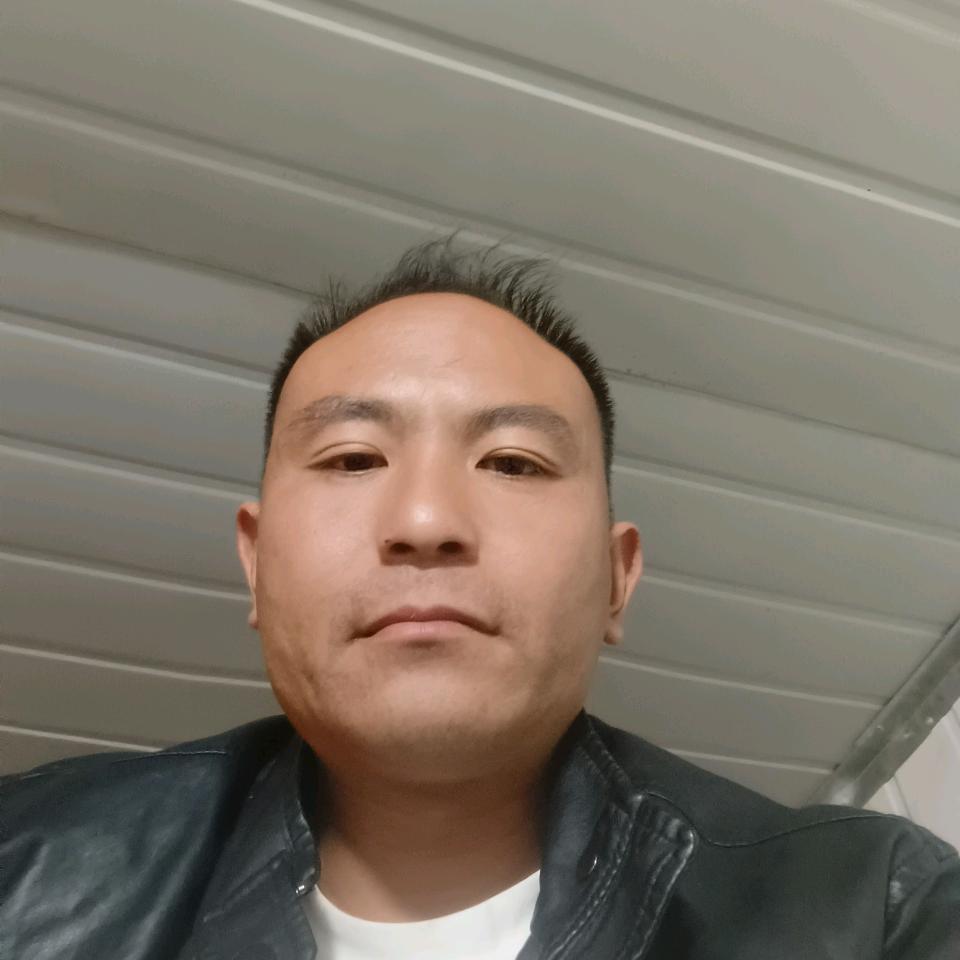 专业打桩王强