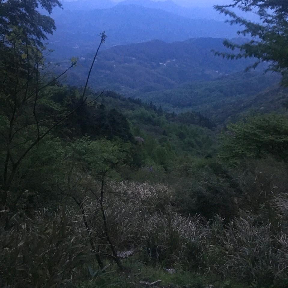 勇