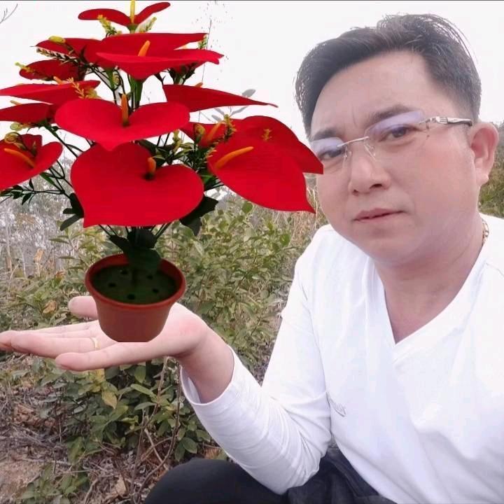 千里寻春