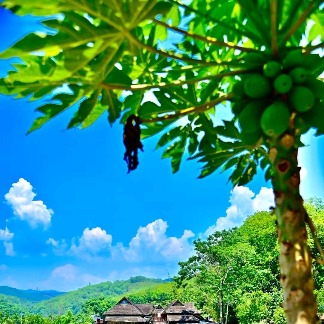 ✍️风雨💗无敌(*^▽^*)