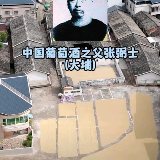 涯系客家人