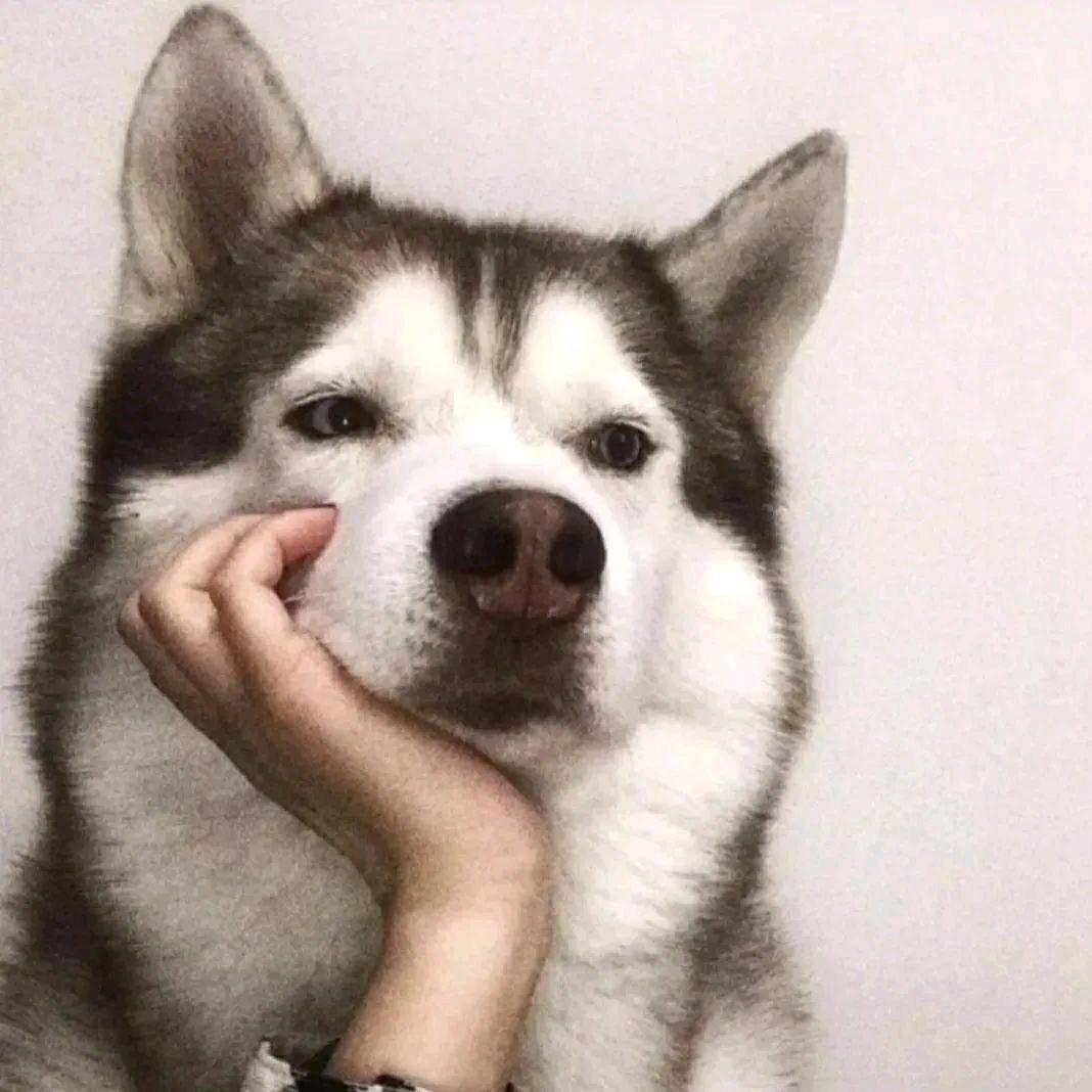 越笑越