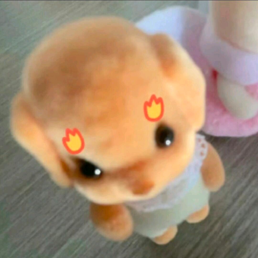 嘉茵