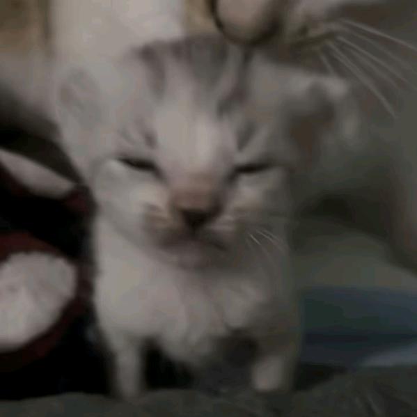 = =
