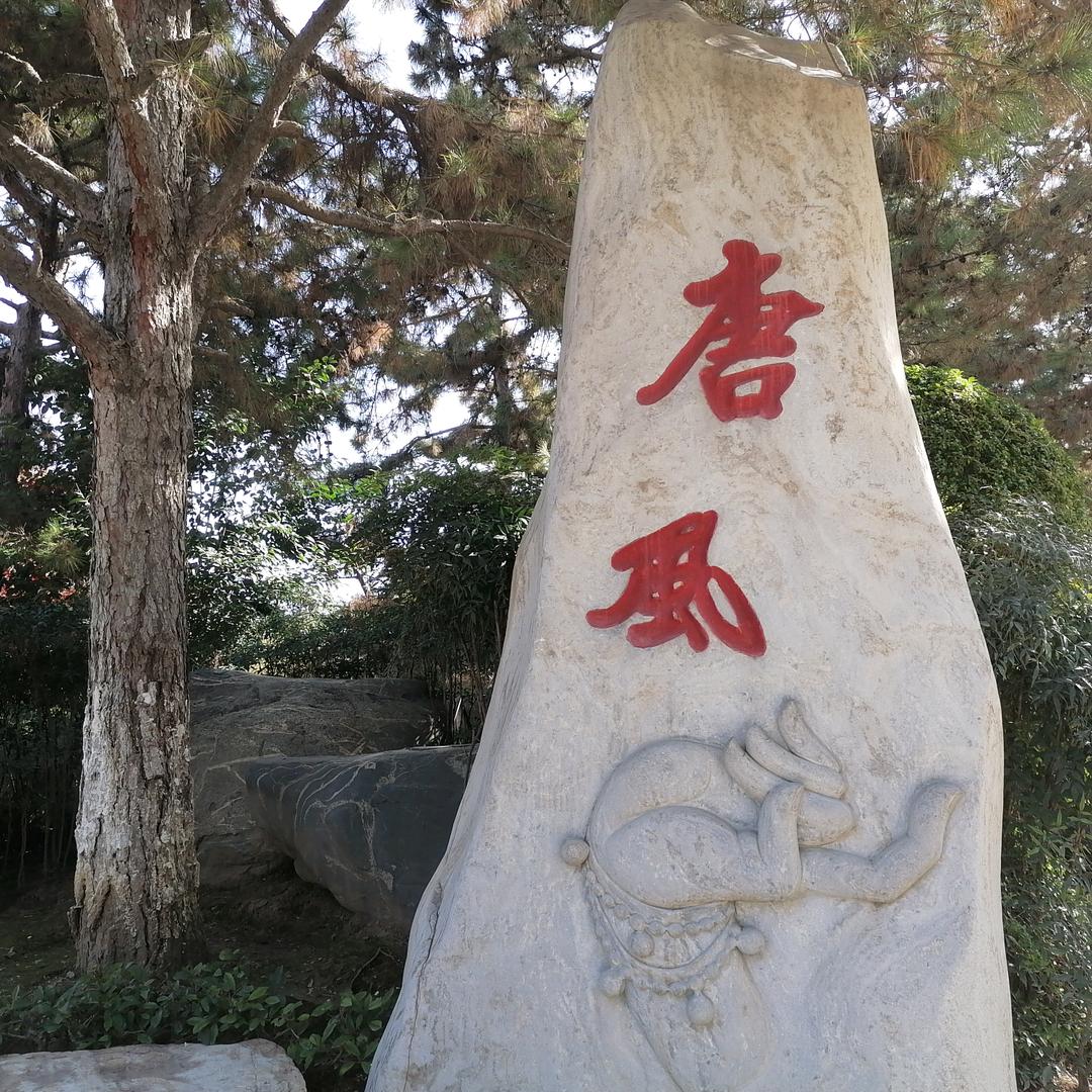 宇通大巴963
