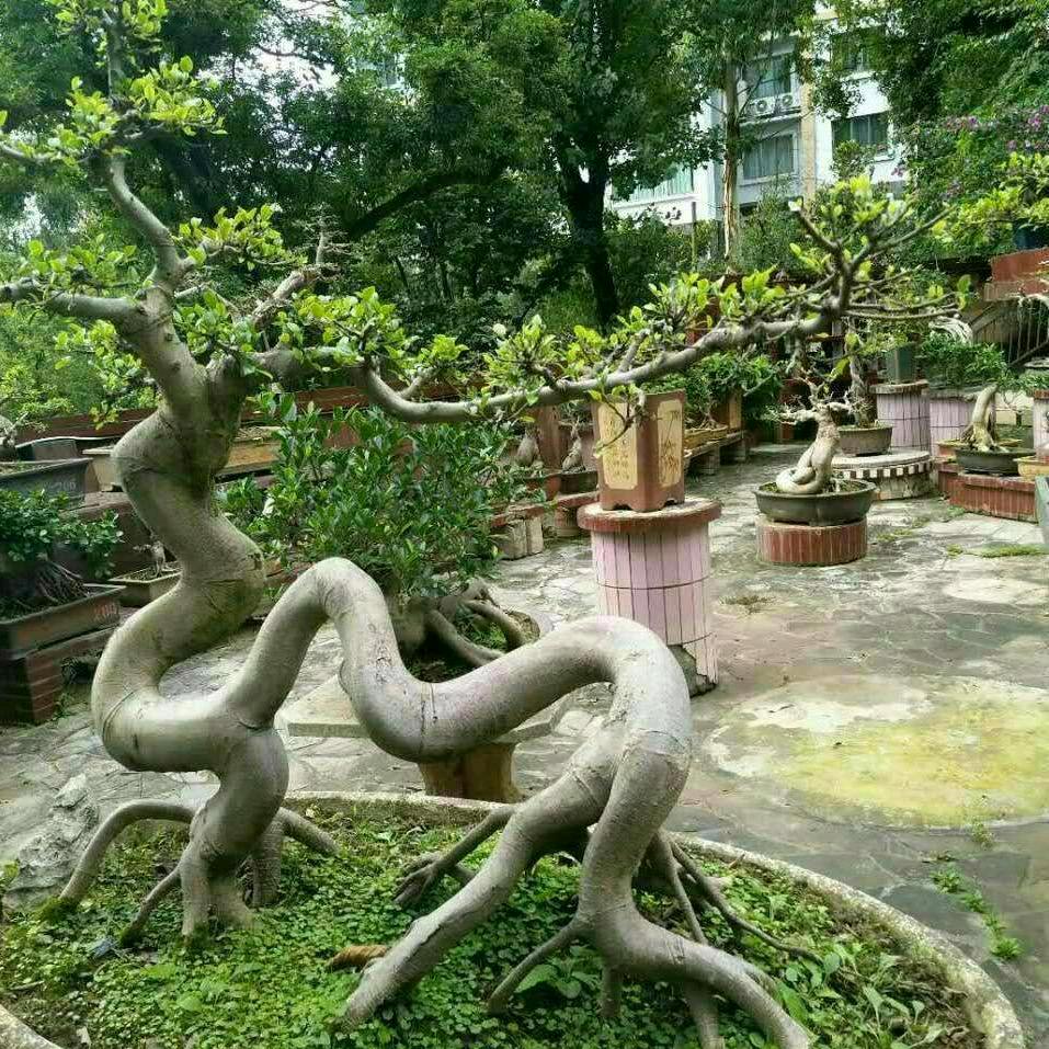 一生有你