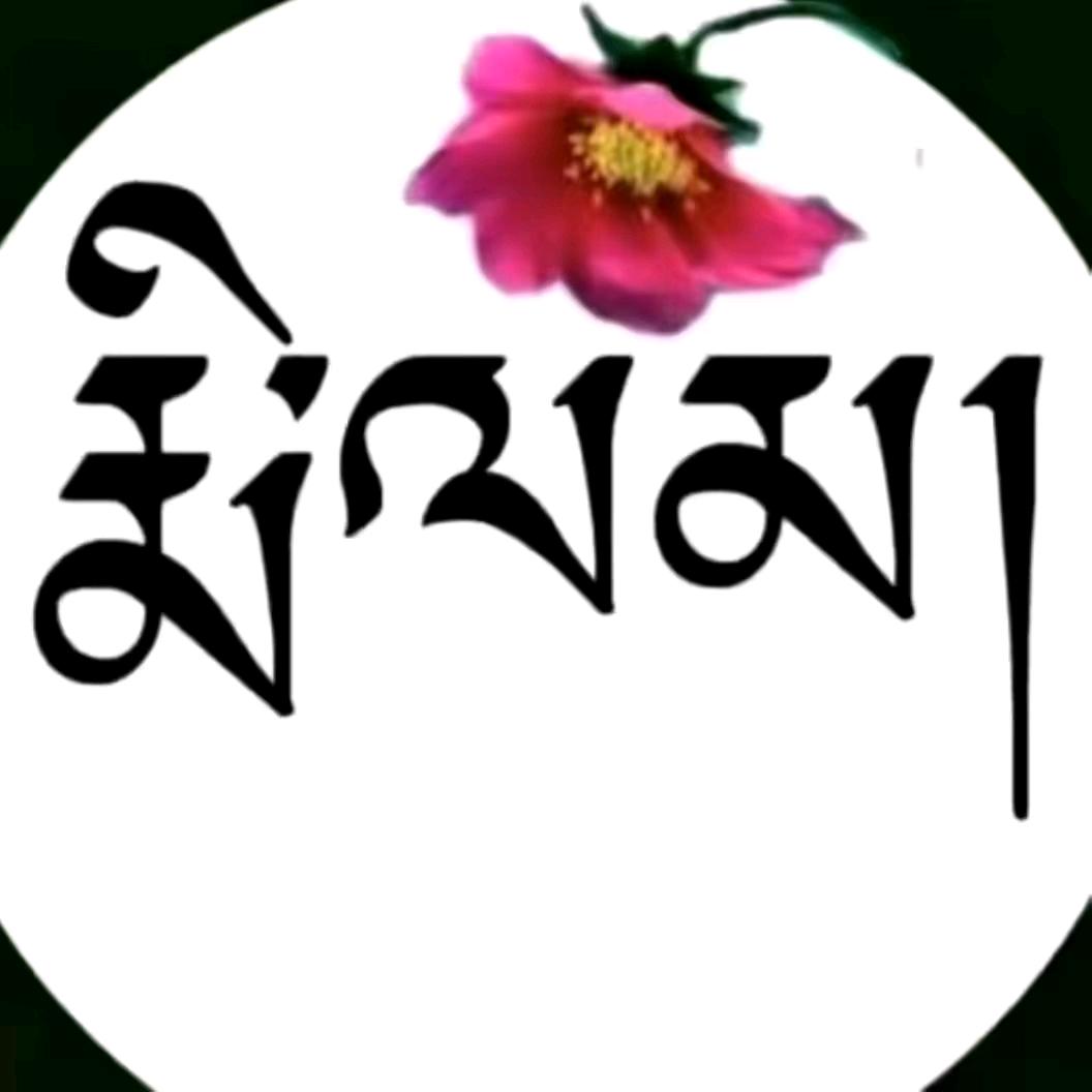 nihao