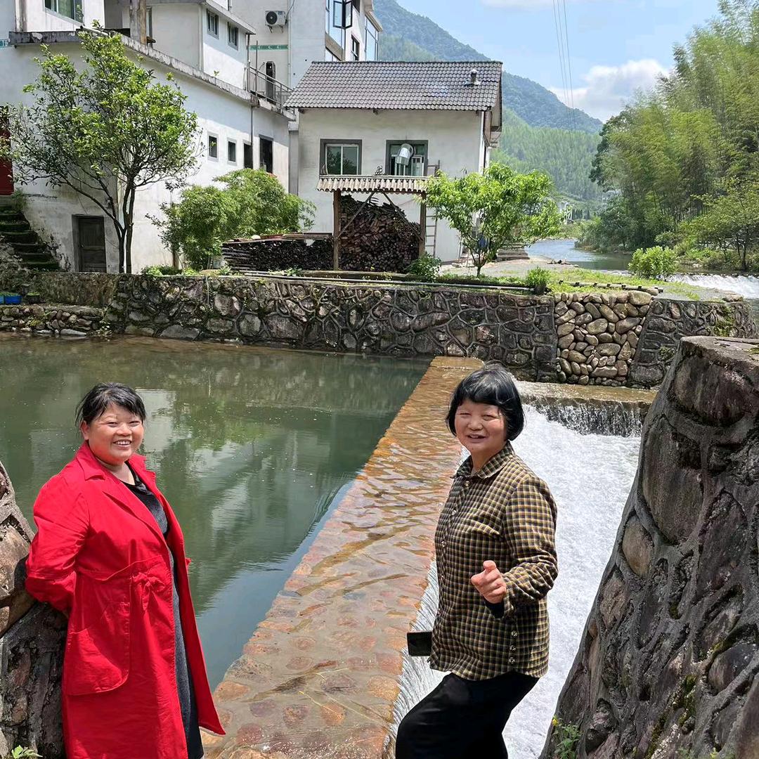 周月琴