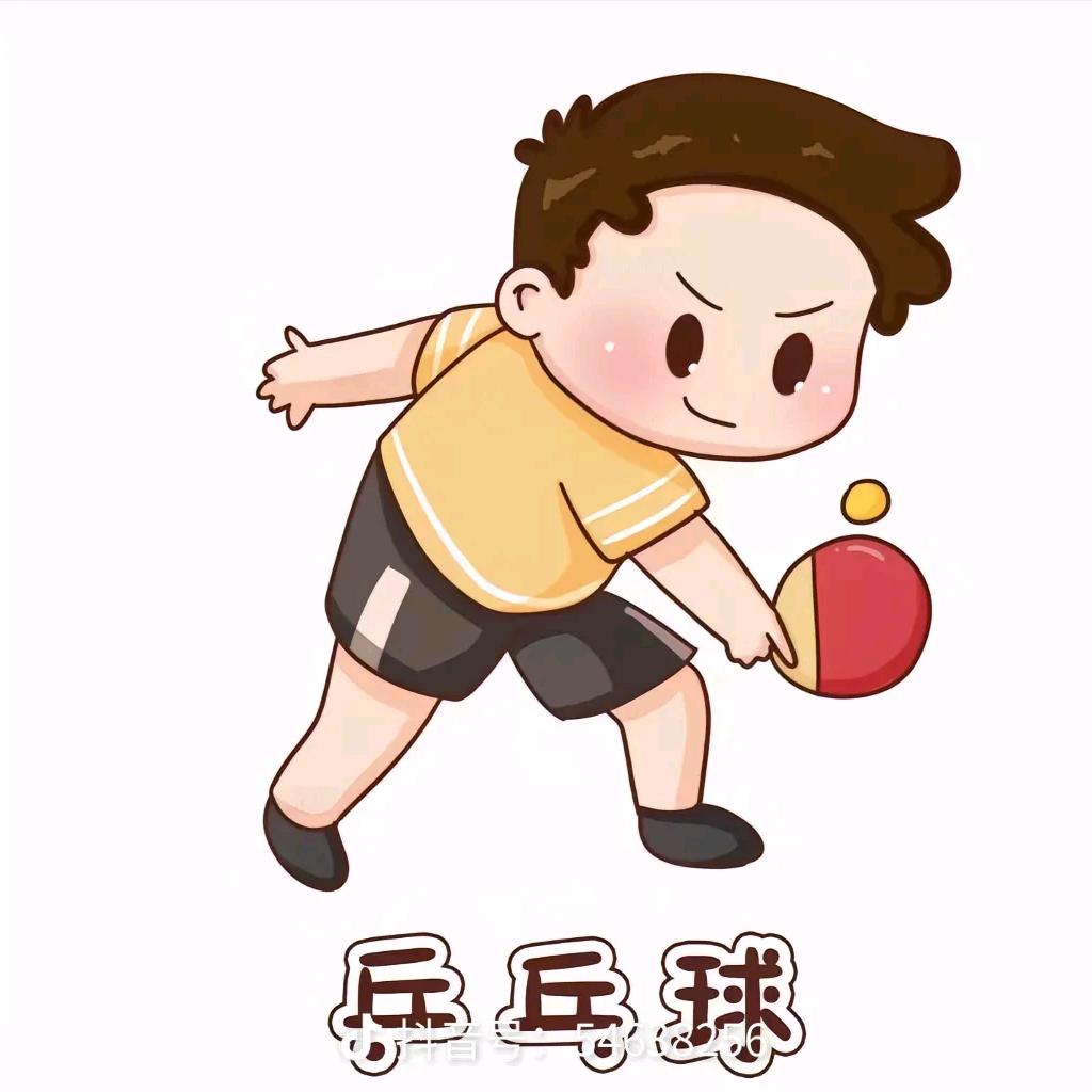 🏓多彩乒乓球🏓