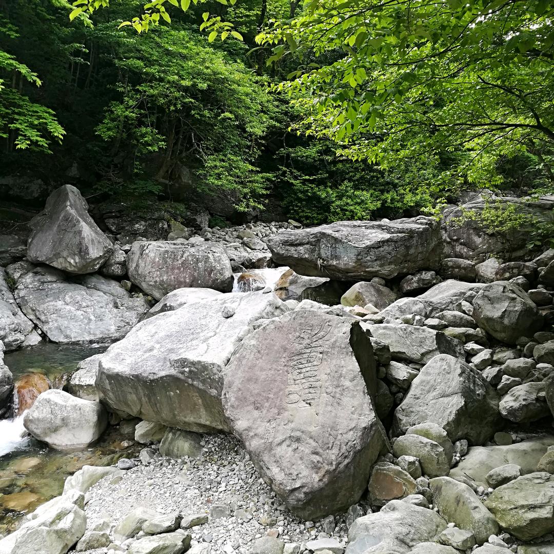 心湖鸿影