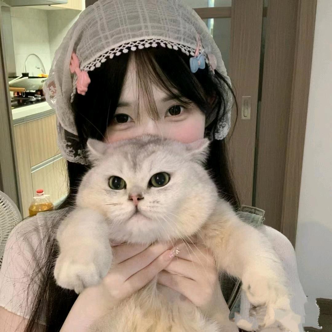 🥯小丸纸 *ﾟ