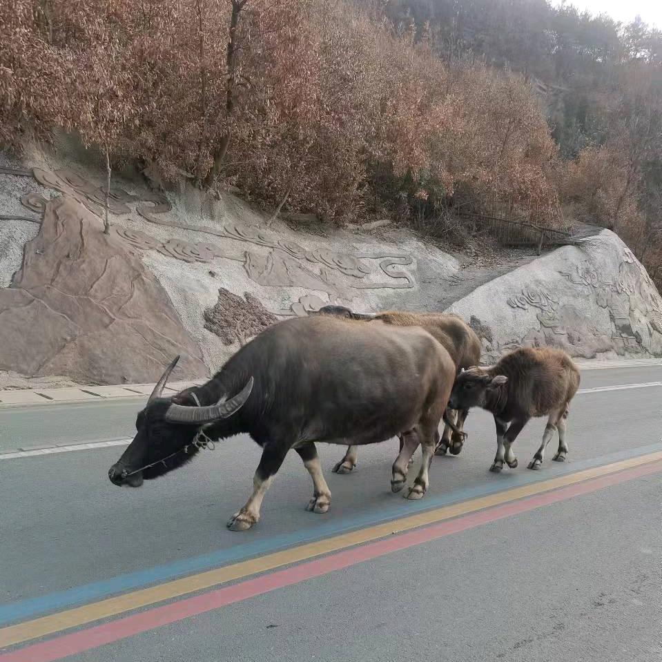 奋斗奋斗