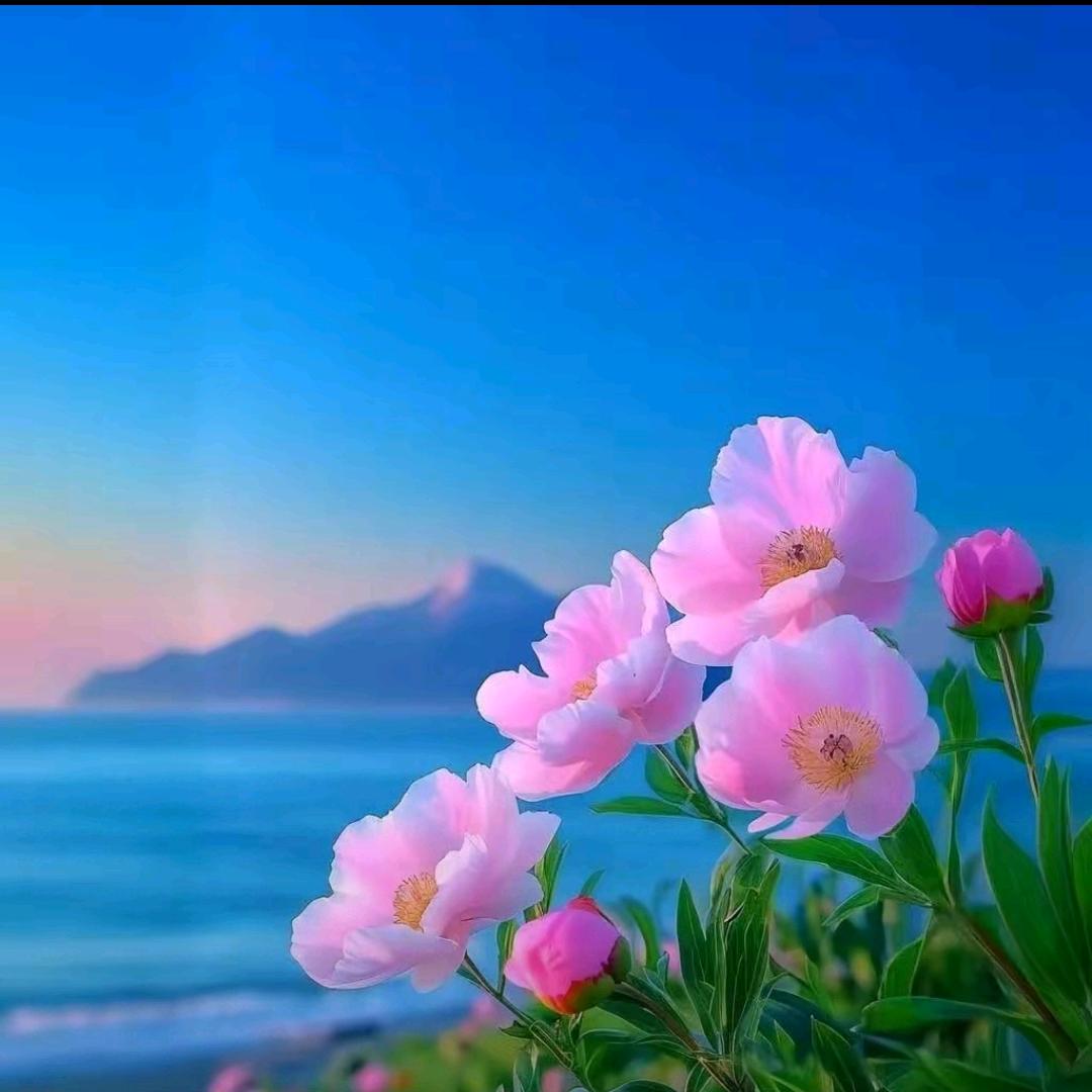 任任