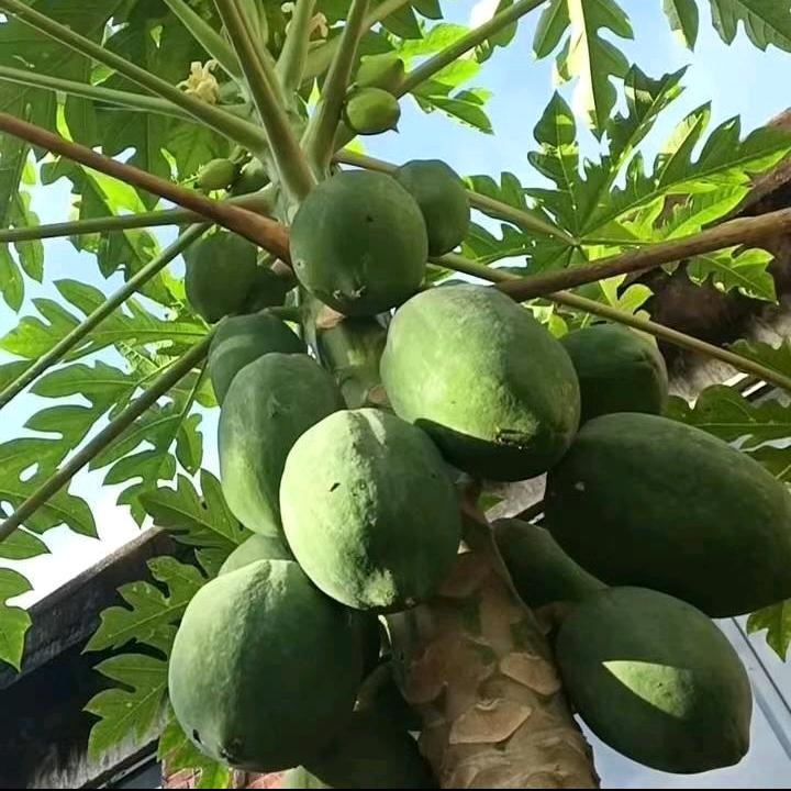 时来运转