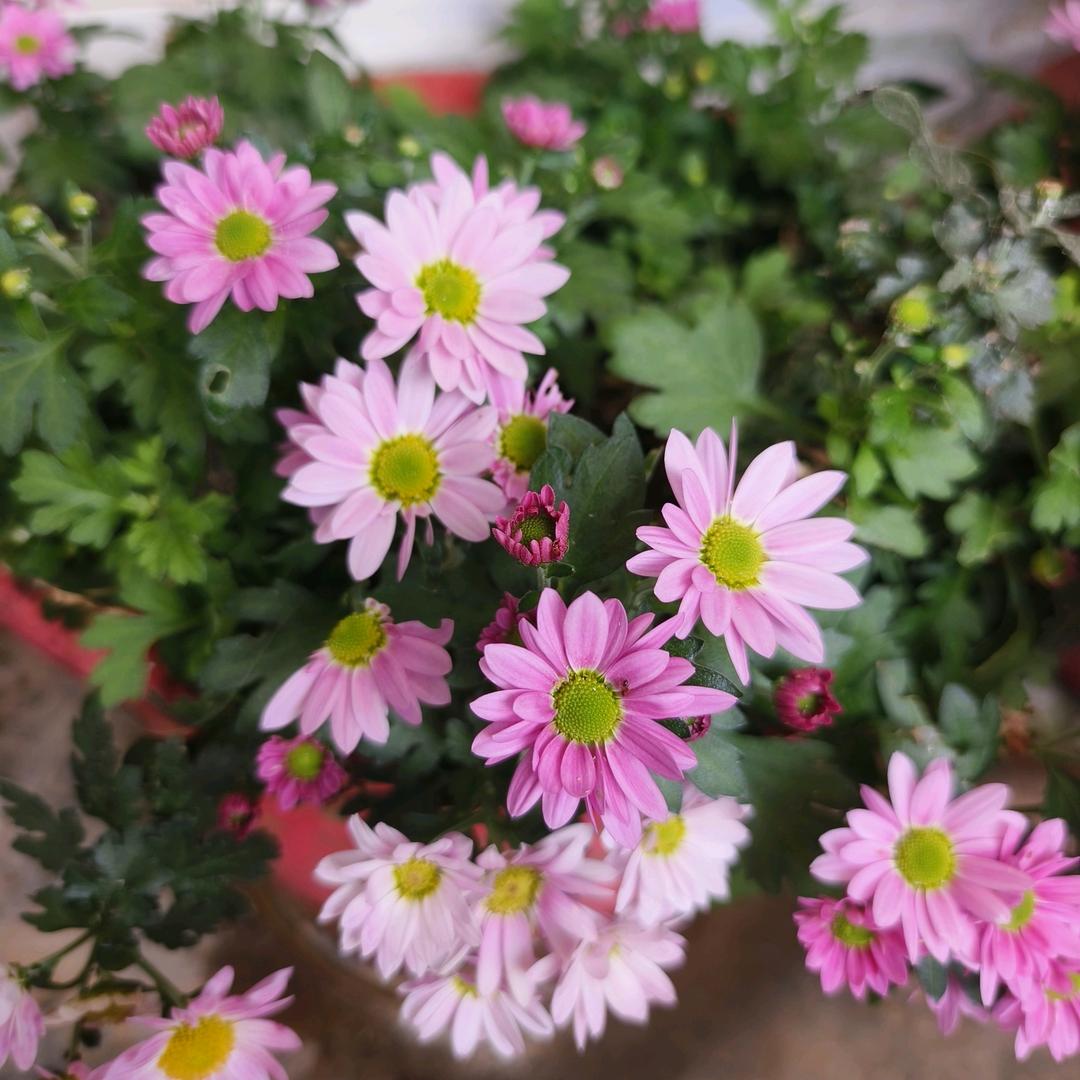 在我眼里你会发光